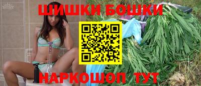 гидра Долгопрудный