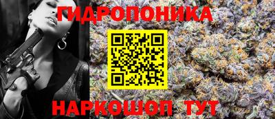 a pvp Дмитров