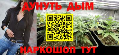 a pvp Дмитров