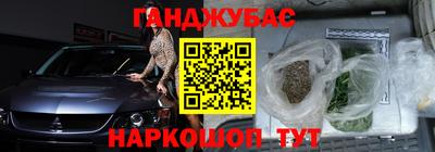 гидра Долгопрудный