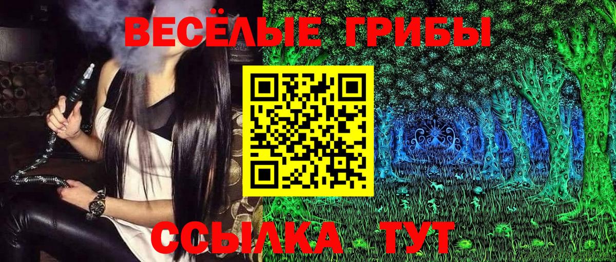 Псилоцибиновые грибы Psilocybe Борисоглебск
