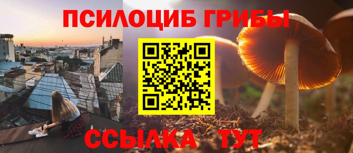 Псилоцибиновые грибы мухоморы  Вход с VPN  Борисоглебск 